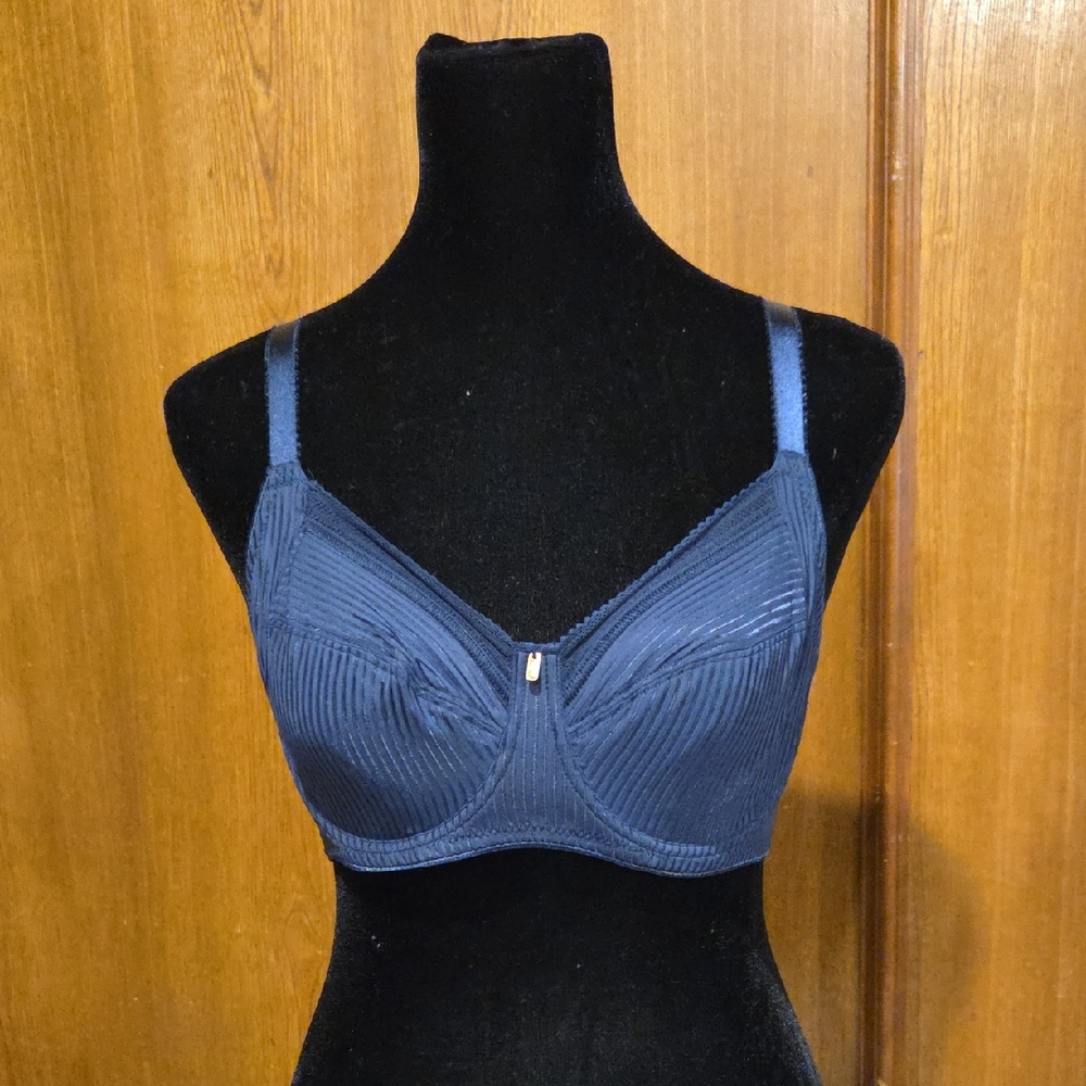 Fantasie Navy Blue Bra - NWT - 30DD